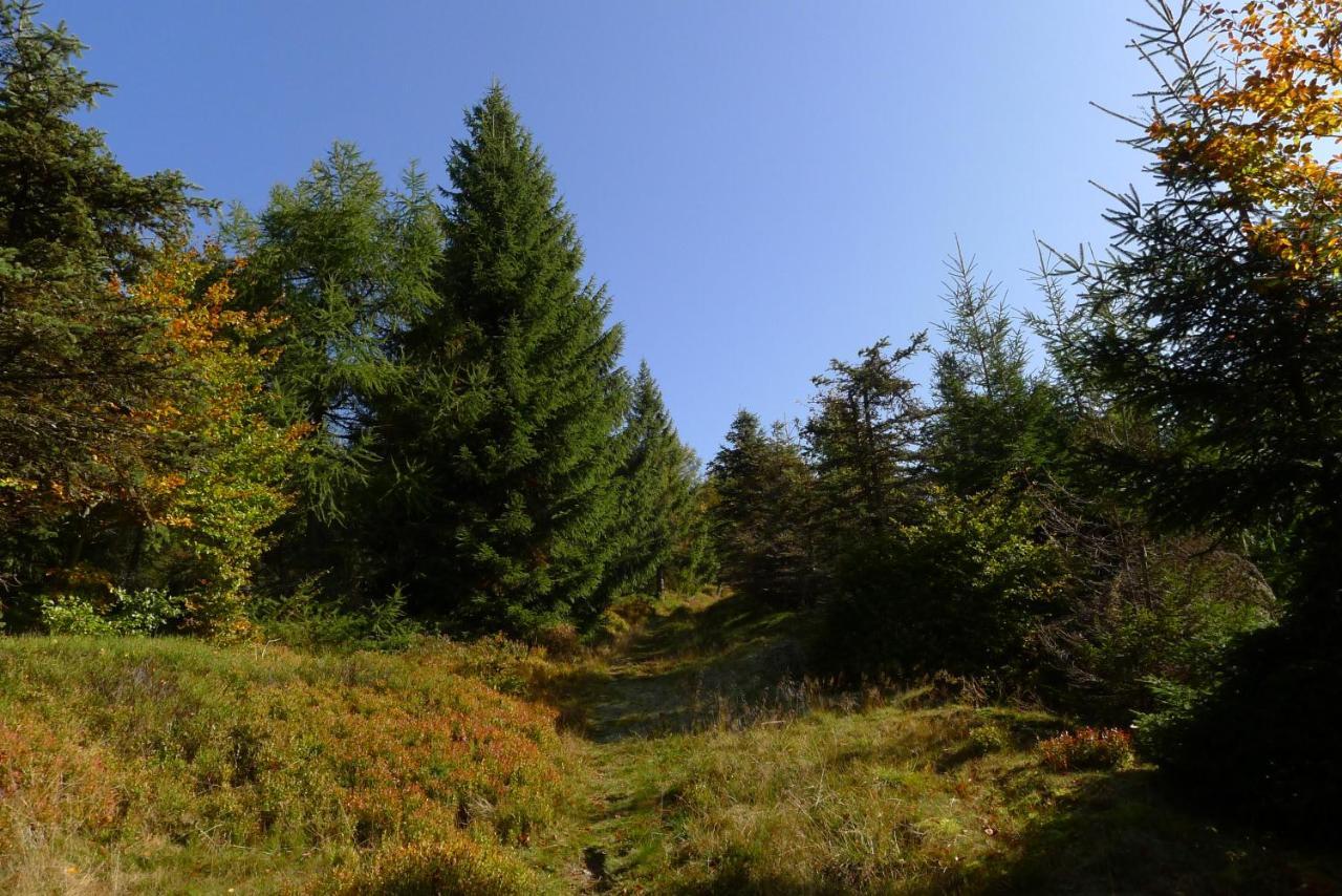 Hejnice Retreat Kültér fotó
