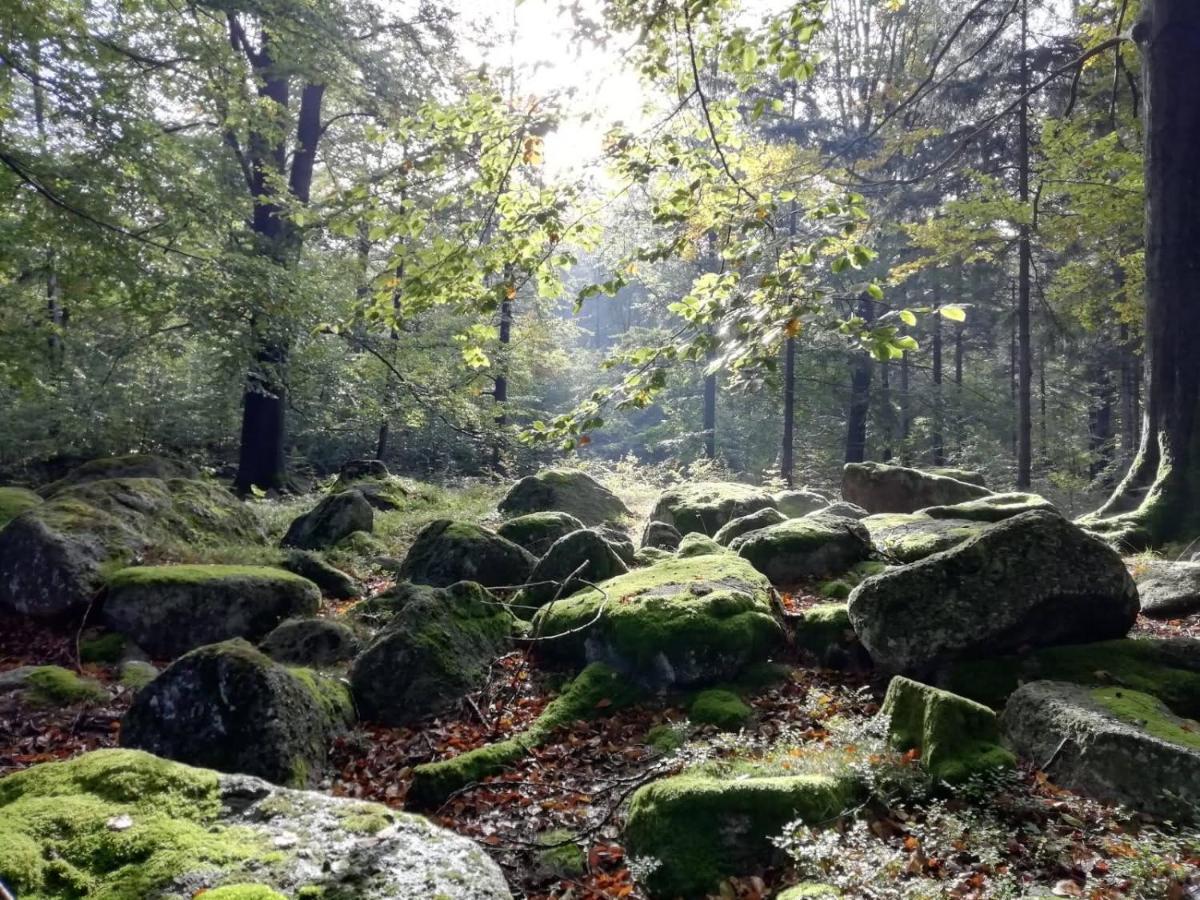 Hejnice Retreat Kültér fotó