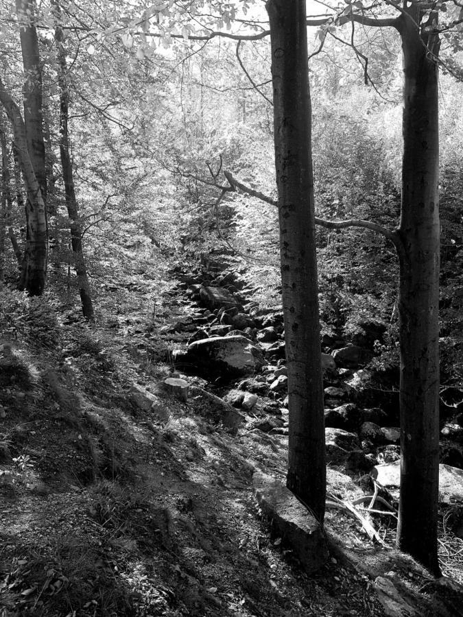 Hejnice Retreat Kültér fotó
